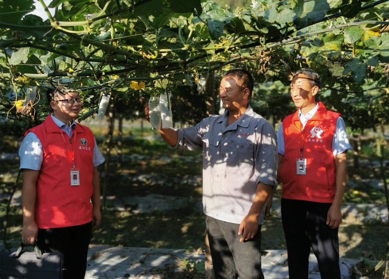 建阳联社：凝聚服务 当好乡村振兴“合伙人”