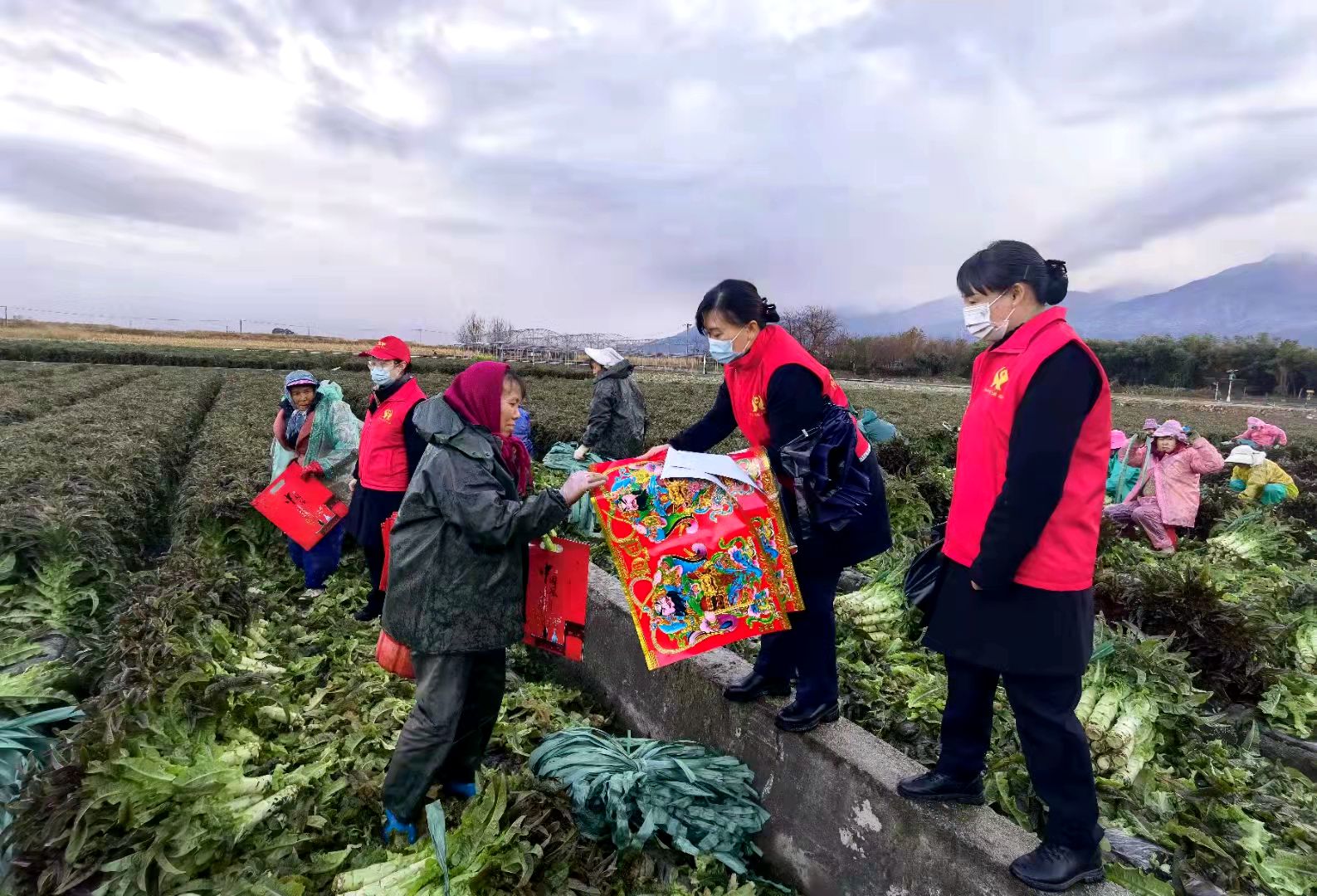 大理市农商银行 “乡村振兴惠商贷”为乡村振兴注入源头活水