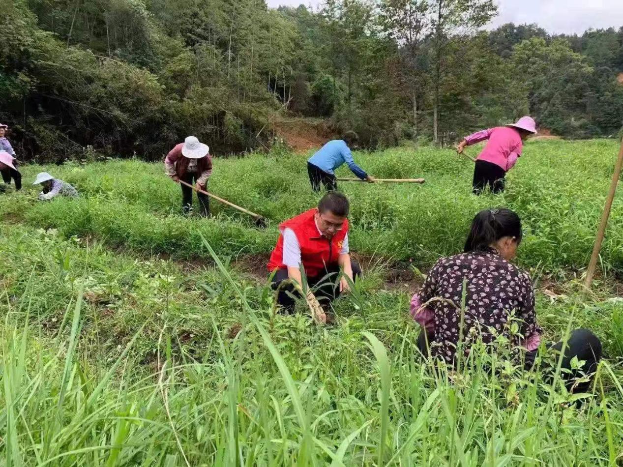 长汀农信：绿色金融添光彩 大美汀州入画来
