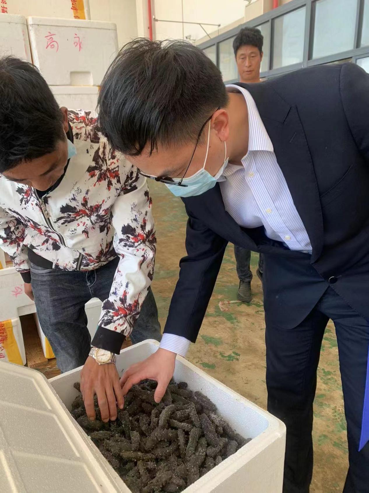 霞浦联社：“海参宝”助力海参产业发展