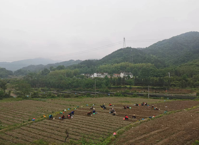 小元胡拓宽山村致富路