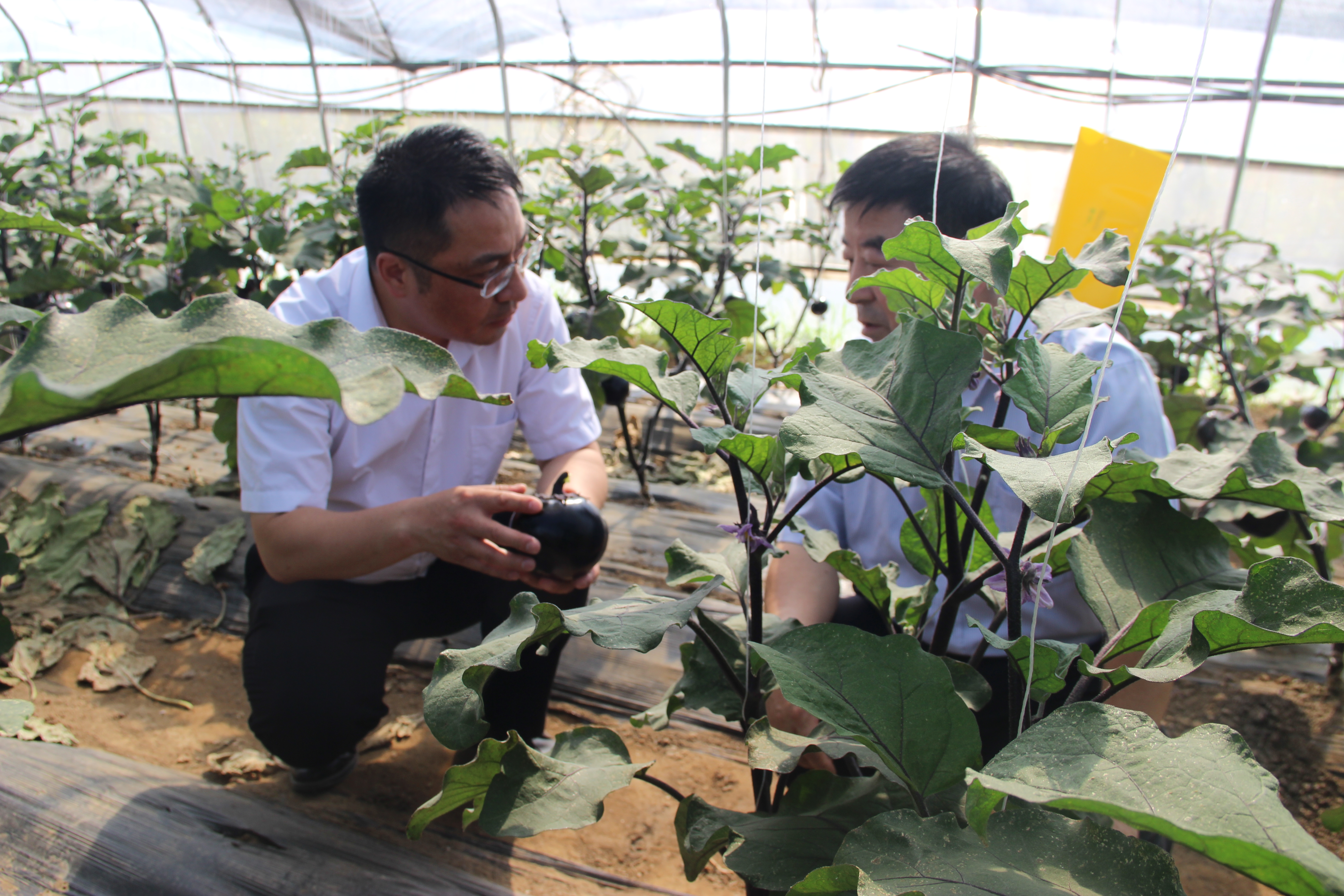 坚守支农支小定位 深挖小微金融服务——访北京顺义银座村镇银行行长杨灵国