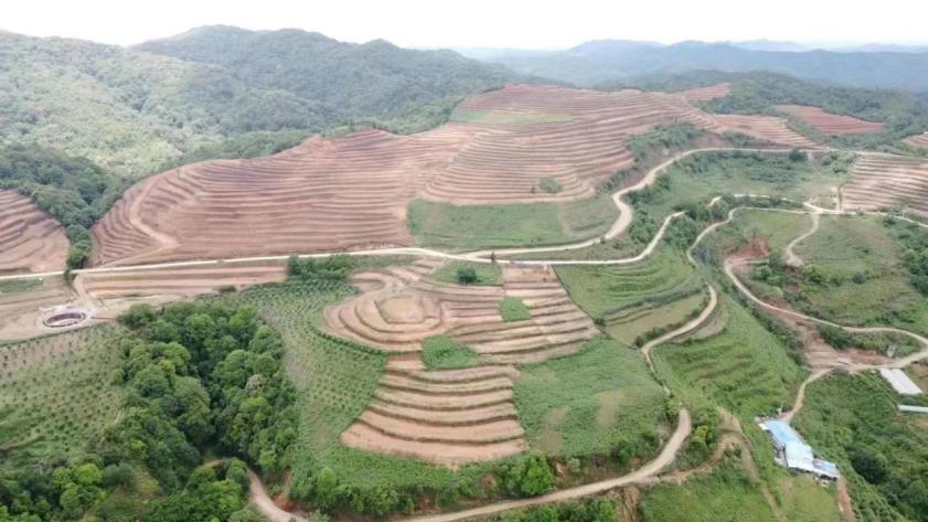 农发行云南元江县支行 投放7700余万元贷款支持土地整治项目