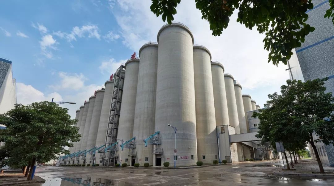 农发行东莞市分行 3.22亿元支持地方粮油仓储设施建设