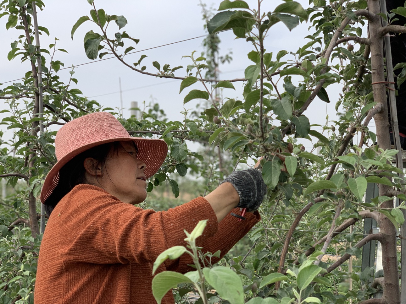 洛南扶贫的“邮储力量”——访陕西省洛南县扶贫局局长周建国