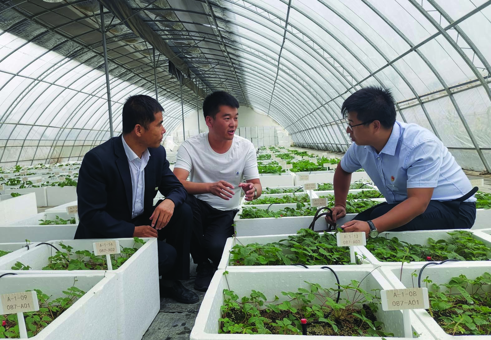 深耕厚植育陇原 金融活水润“甘”田——甘肃省农信社助力脱贫攻坚、乡村振兴发展纪实