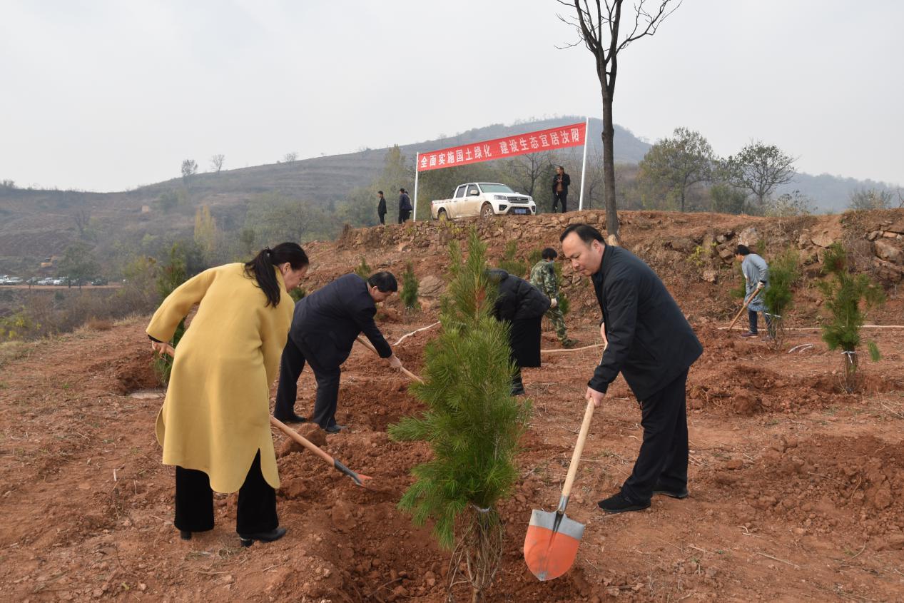 农发行洛阳汝阳县支行组织职工参加冬季义务植树活动