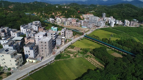 农发行茂名分行：用爱国主义渲染主题教育底色