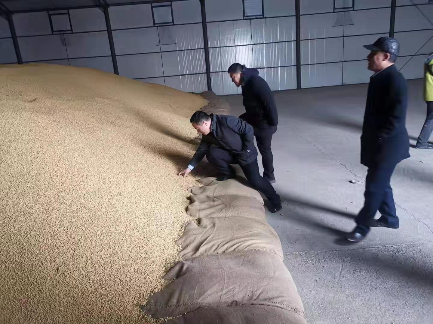 图片新闻 | 农发行黑河市分行支持市场化粮食收购