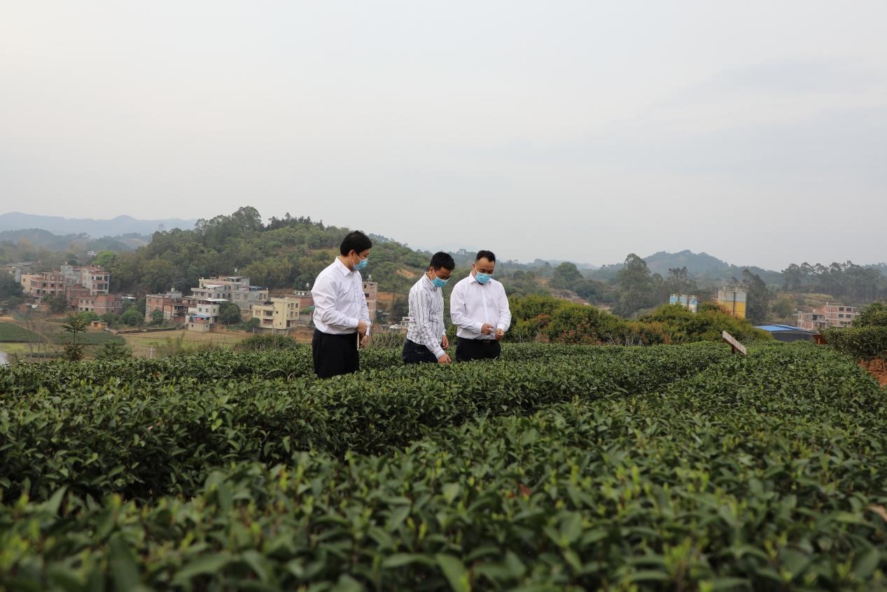 广西灵山联社：“复工贷”为各行业复工复产“送春风”