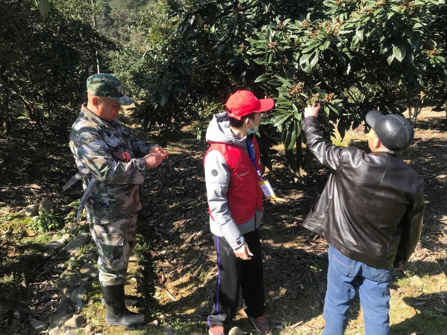 疫情挡不住农信支农的脚步