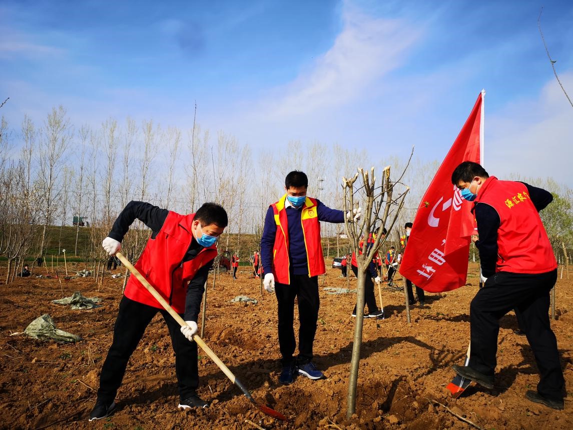 图为植树活动现场