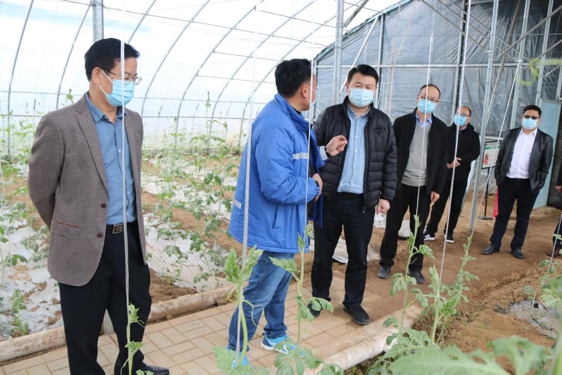 中国人民银行平顶山市中心支行副行长杨振坤一行深入走访调研市郊联社企业贷款户