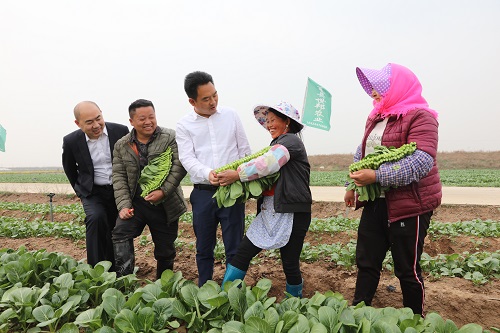 夏县农商银行扶持“菜篮子”走出国门