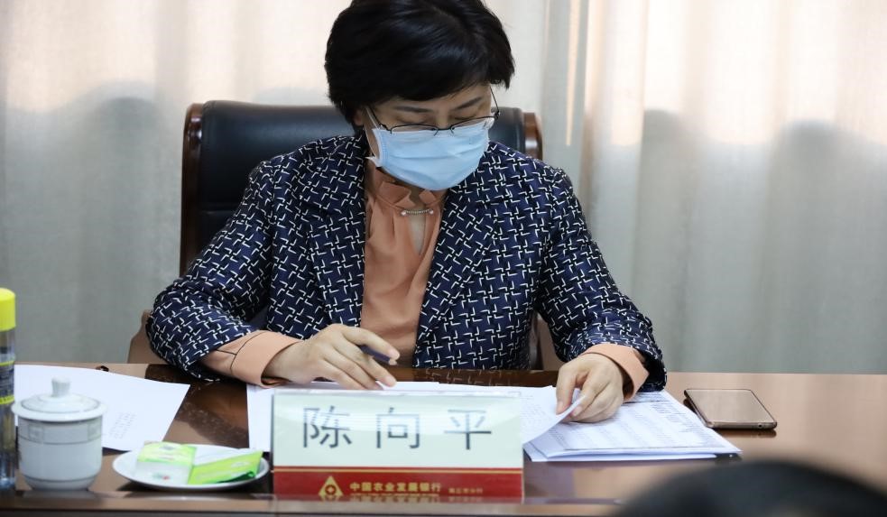 商丘市委副书记陈向平调研农发行商丘市分行主持召开金融支持脱贫攻坚和乡村振兴工作座谈会