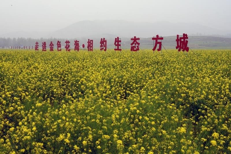 微信图片_20200413204007