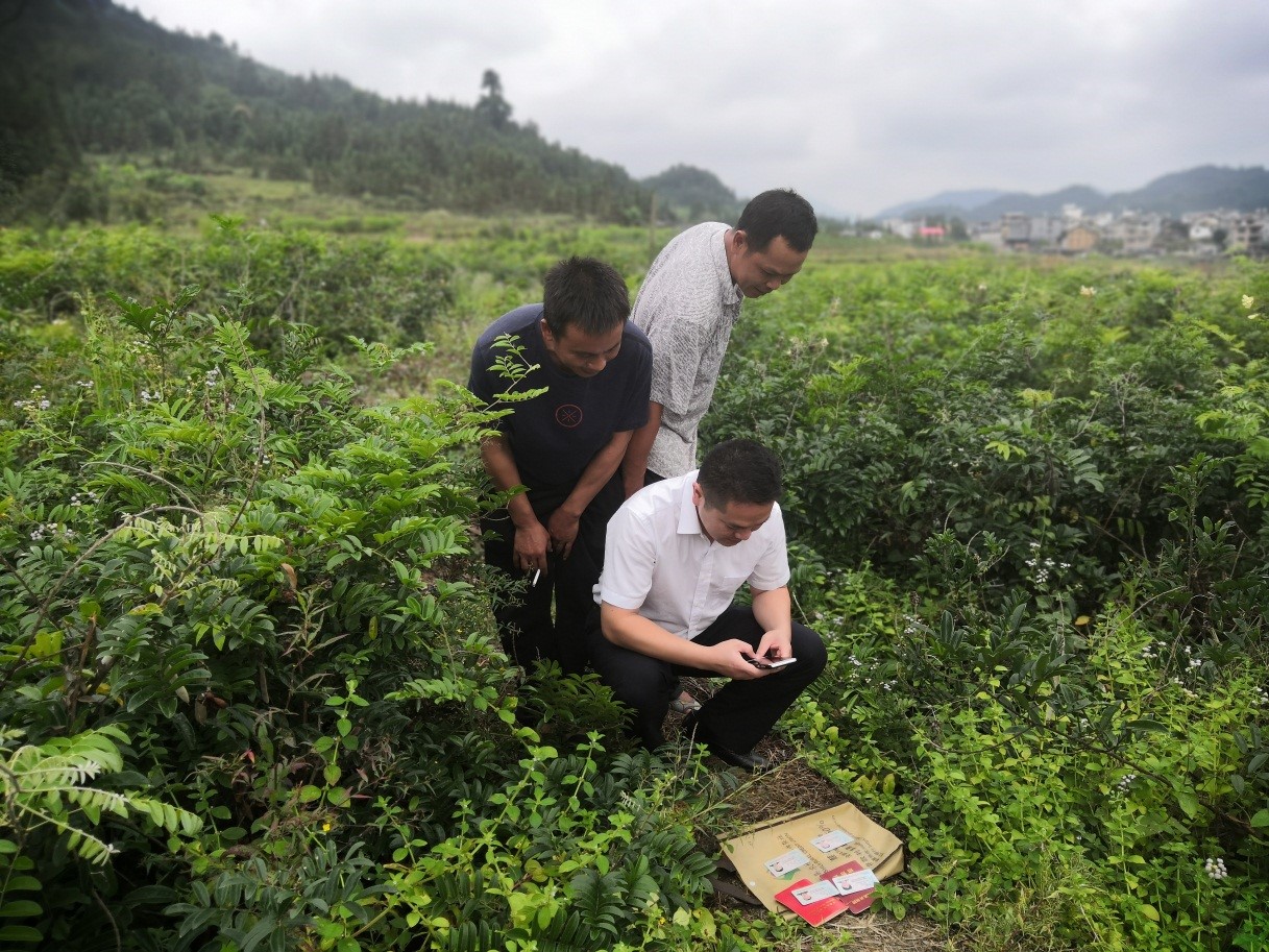 广西融水农商行汪洞支行：伫立在农村金融服务的最前哨