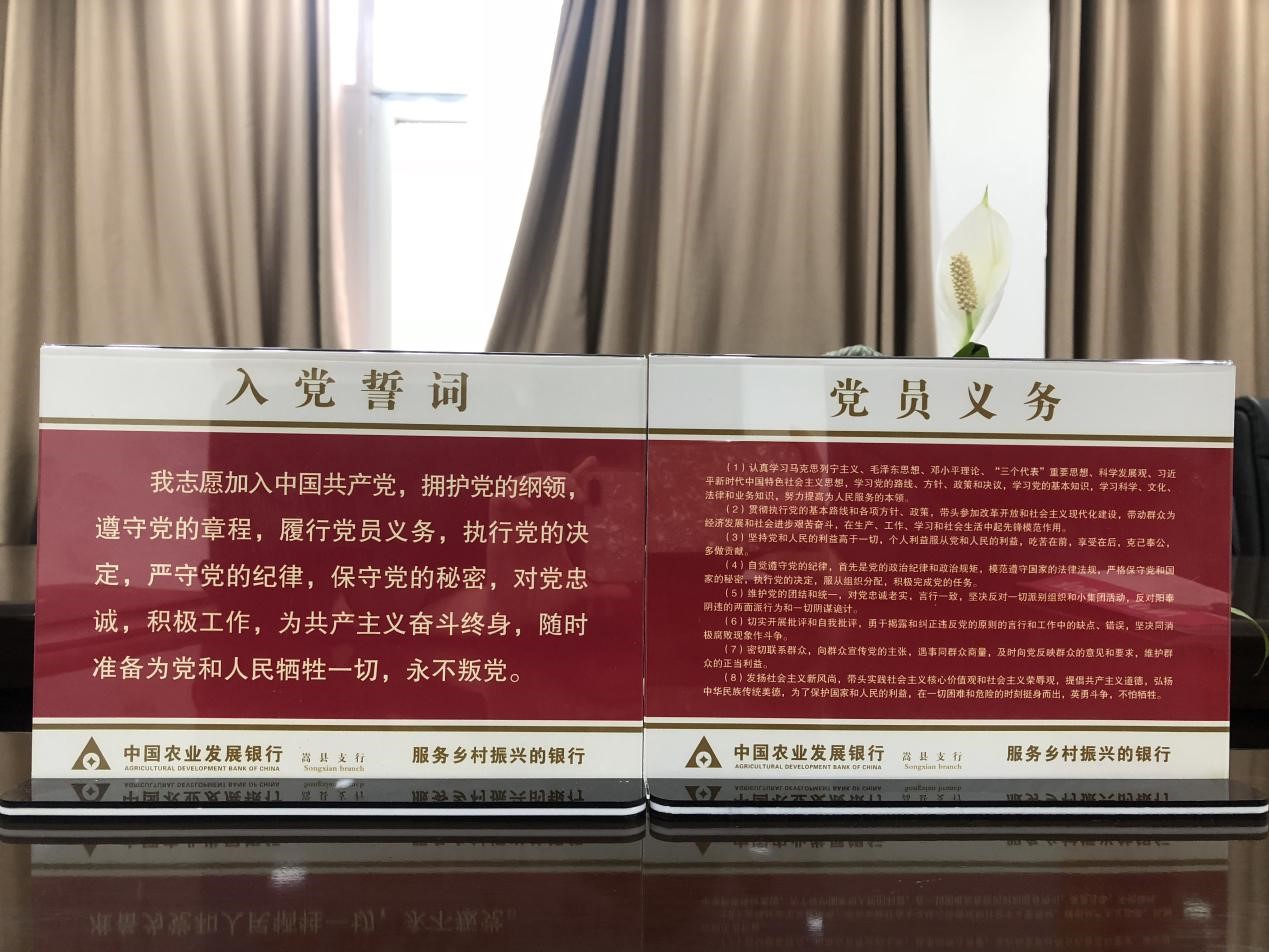 学习党的知识 提高理论修养——农发行嵩县支行5月份主题党日活动