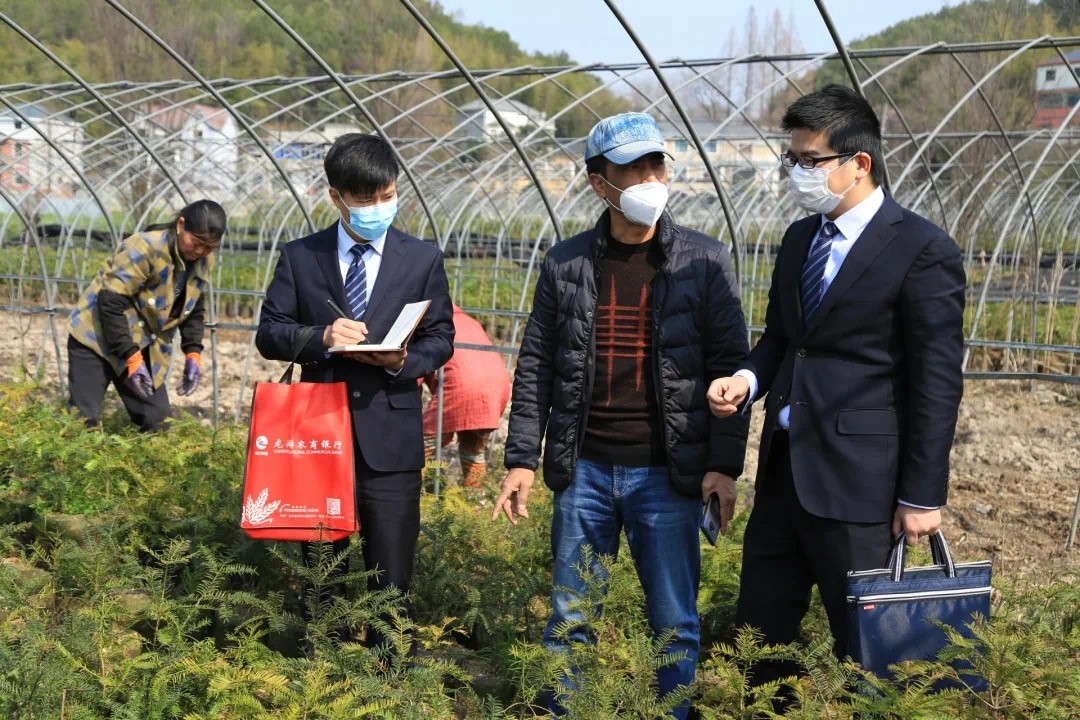 微信图片_春耕备耕