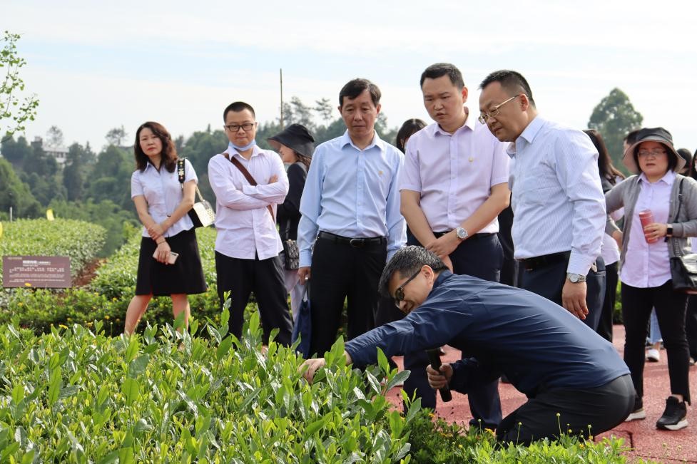 农发行宜宾市分行：走访调研重点企业 助推银企合作升级