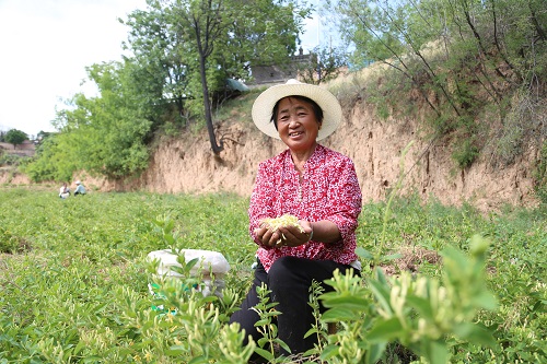 洪洞农商银行助推当地农业产业振兴