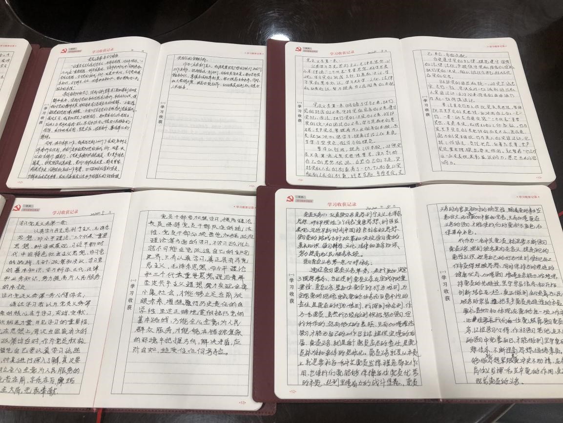 农发行嵩县支行 举行6月份主题党日活动
