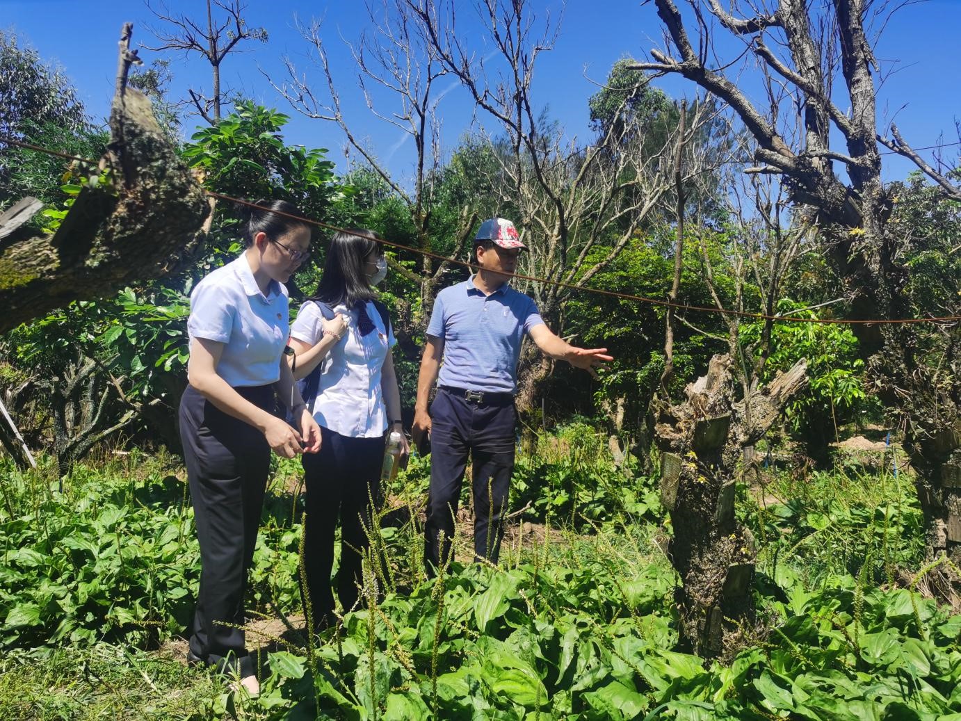 长乐农商银行： 为中小微企业纾困，助中医药行业振兴