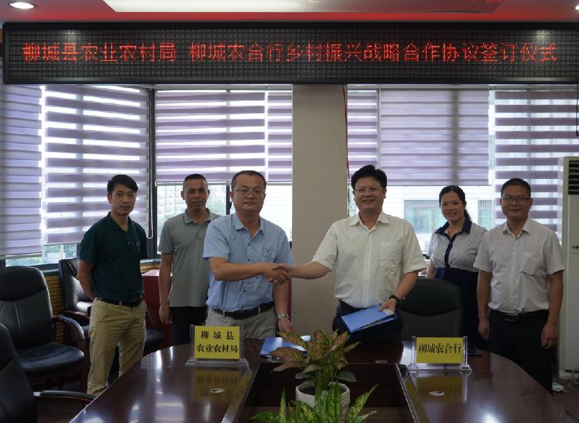 广西柳城农合行：与农业农村局签订署战略合作协议