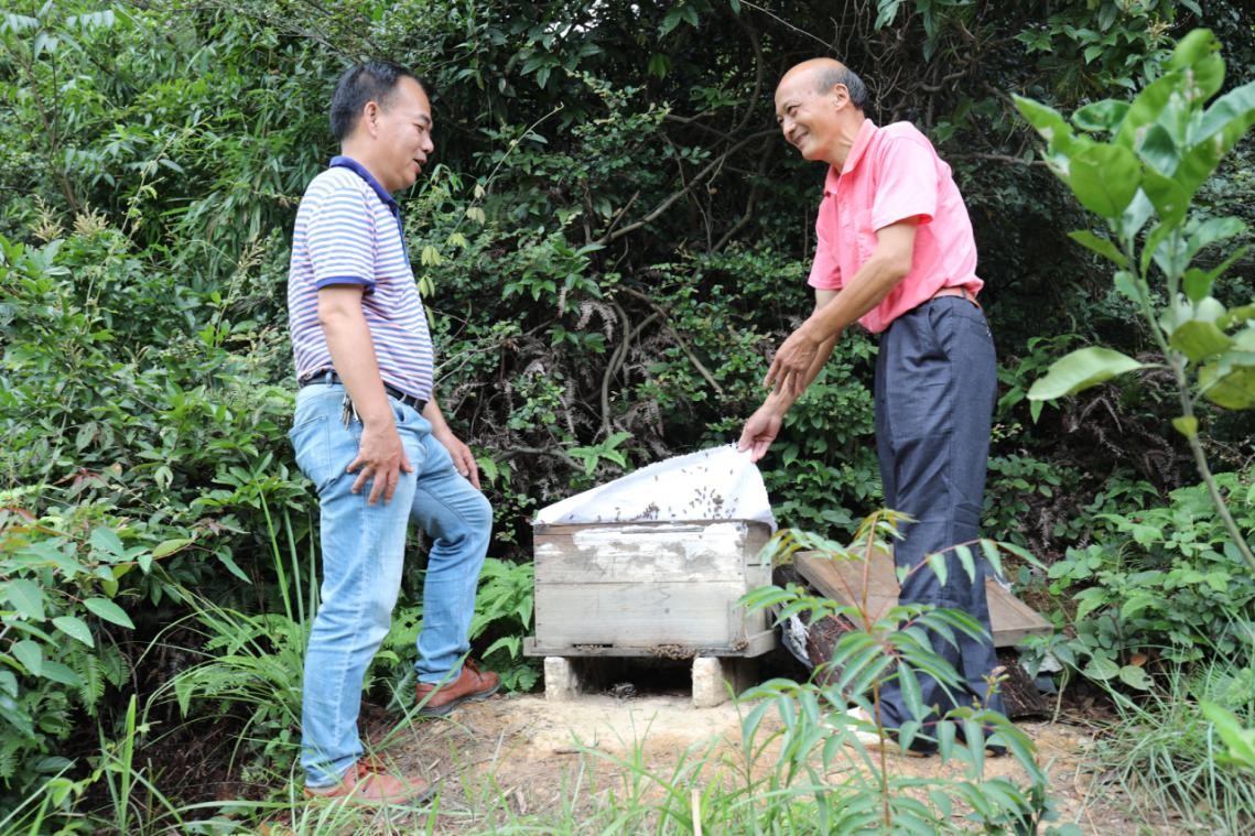 农业银行江西吉安分行： 暖心扶贫添活力  幸福花开红土地