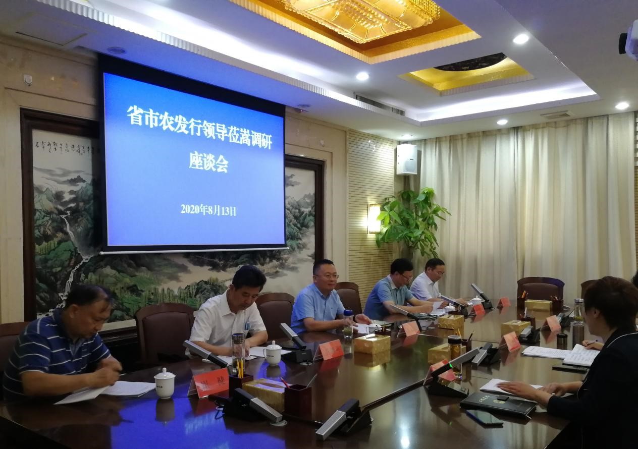 农发行河南省、市分行领导到嵩县调研