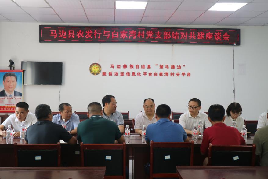农发行马边县支行：开展“结对共建聚合力 党建引领促振兴”主题党日活动