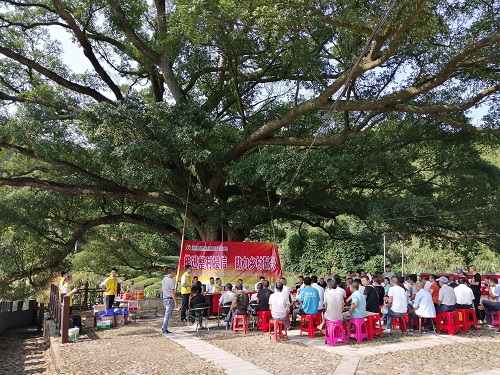 霞浦联社：百年榕树下，一场“别开生面”的整村授信