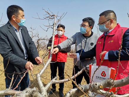 平邑农商银行：坚持党建引领助推文明创建见成效