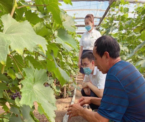 汤原农商银行“走千企访万户” 促进稳企稳岗复工复产