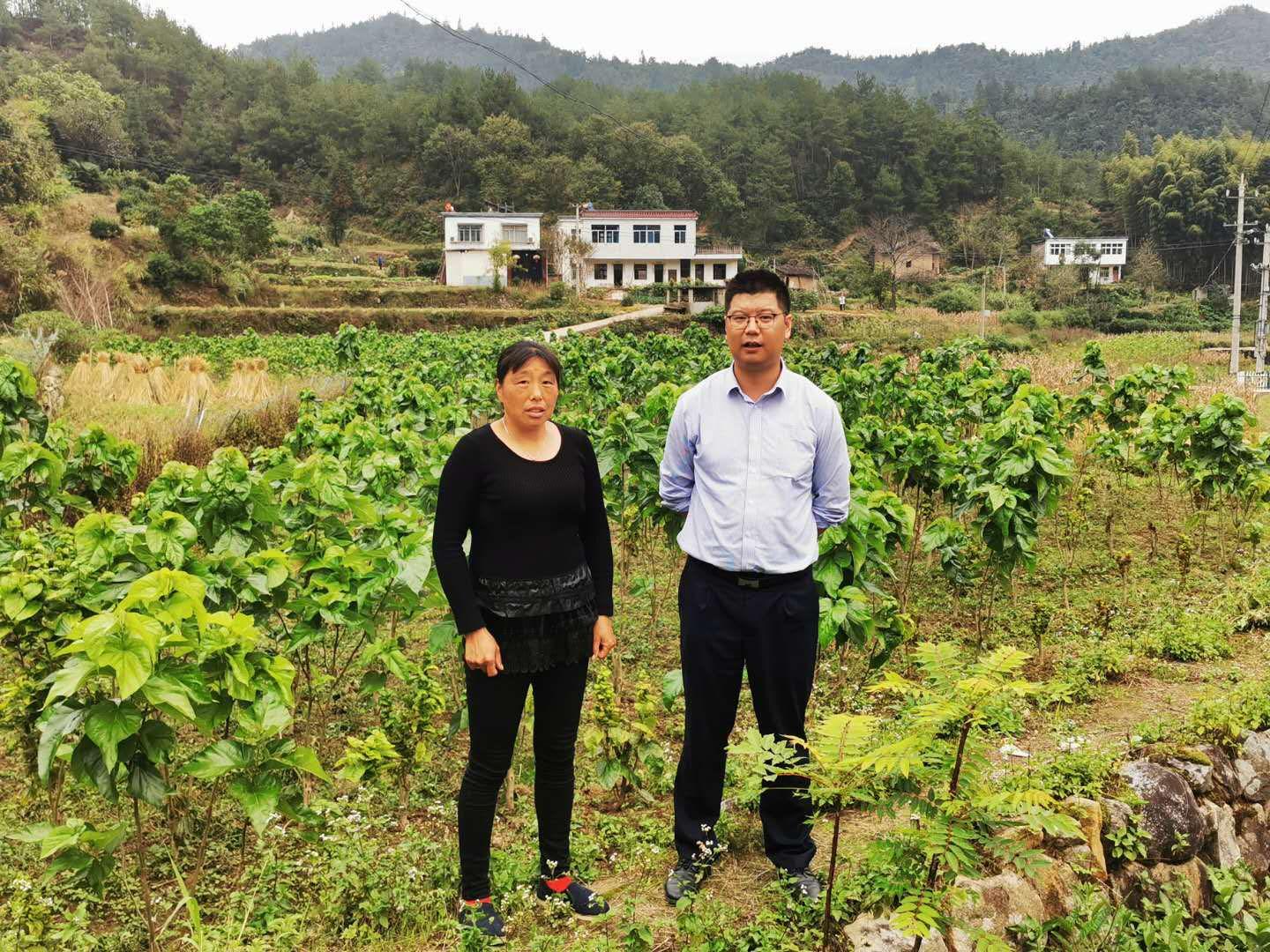 岳西农商银行滴灌蚕桑产业“破茧成蝶”