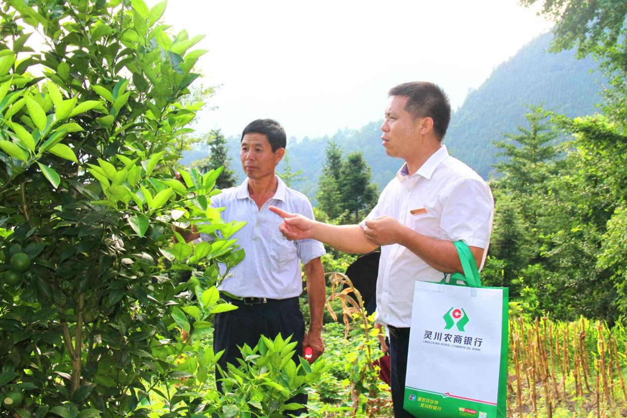 灵川农商银行：党建赋能  振兴乡村