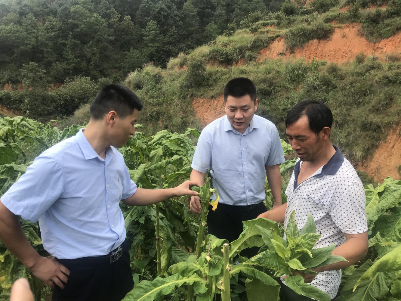 邮储银行攀枝花市分行：金融服务到农村 敲开深山致富门