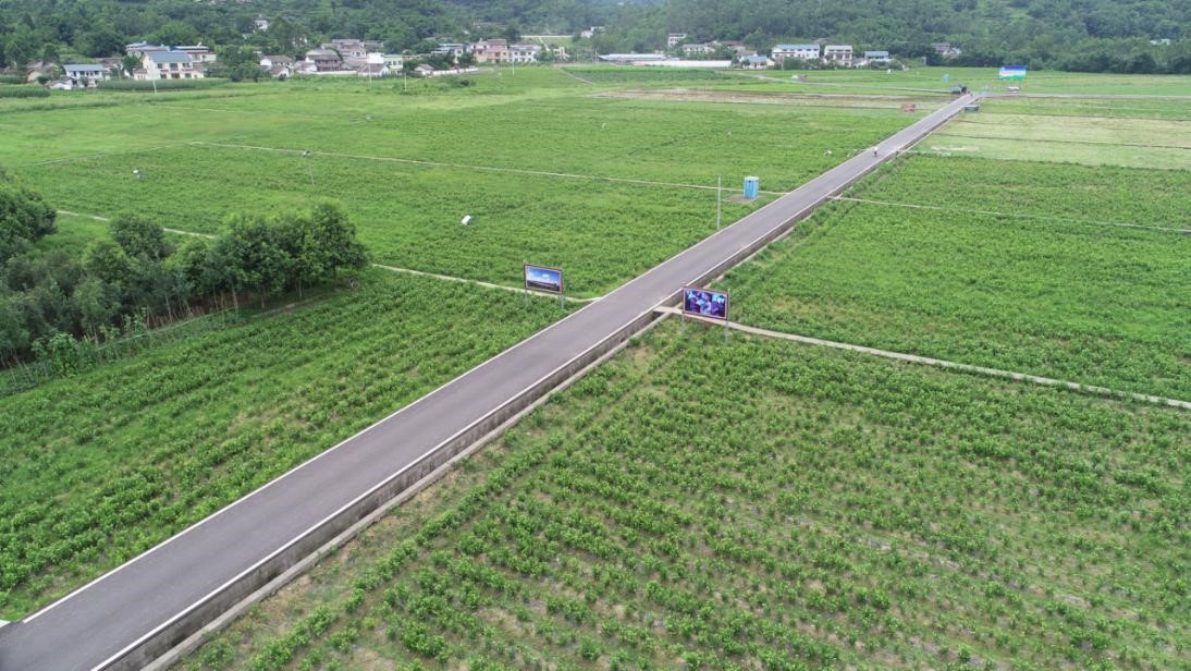 四川省乐山分行犍为支行支持的犍为县农村公路改善提升工程4