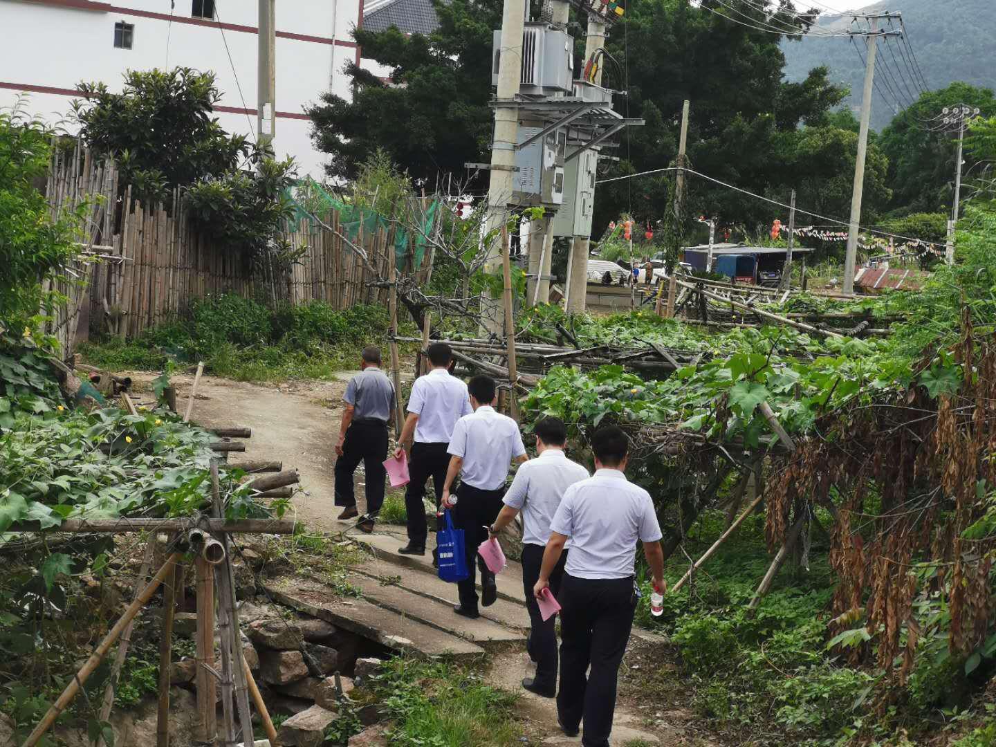 霞浦联社：整村授信“春风化雨”助脱贫