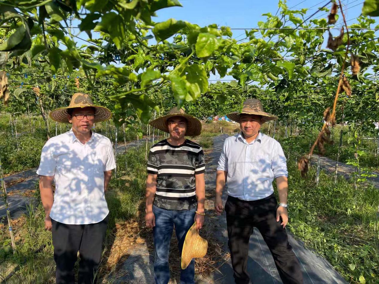 邮储银行茂名市分行“产品、服务”双驱动助力农耕生产