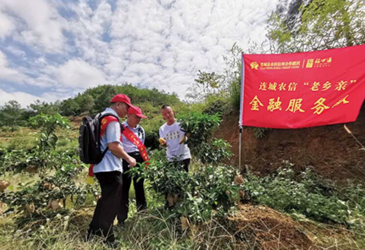 福建农信 传承红色基因 深耕八闽大地