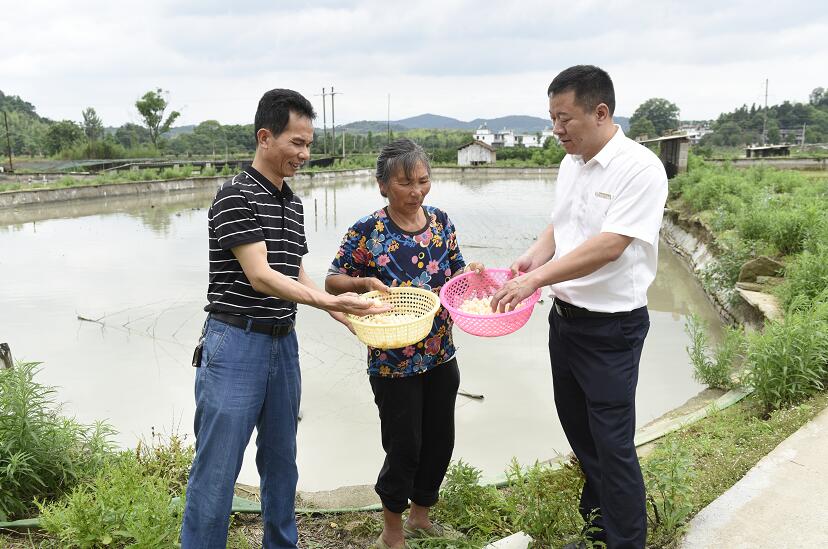 南丰农商银行：扶持村民发展龟鳖养殖产业