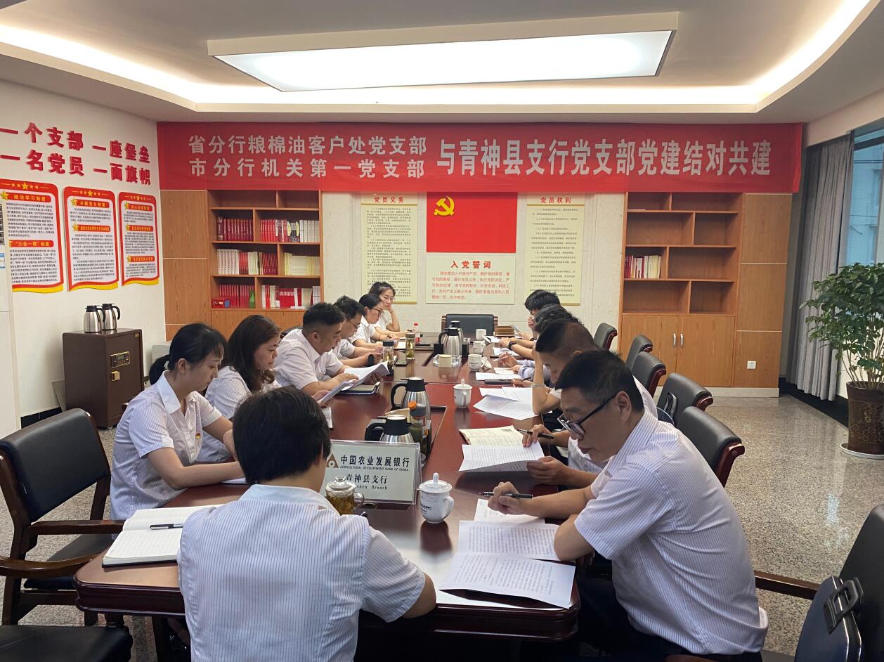 农发行四川省分行：省市县三级行党支部联动 让党史学习教育“活”起来