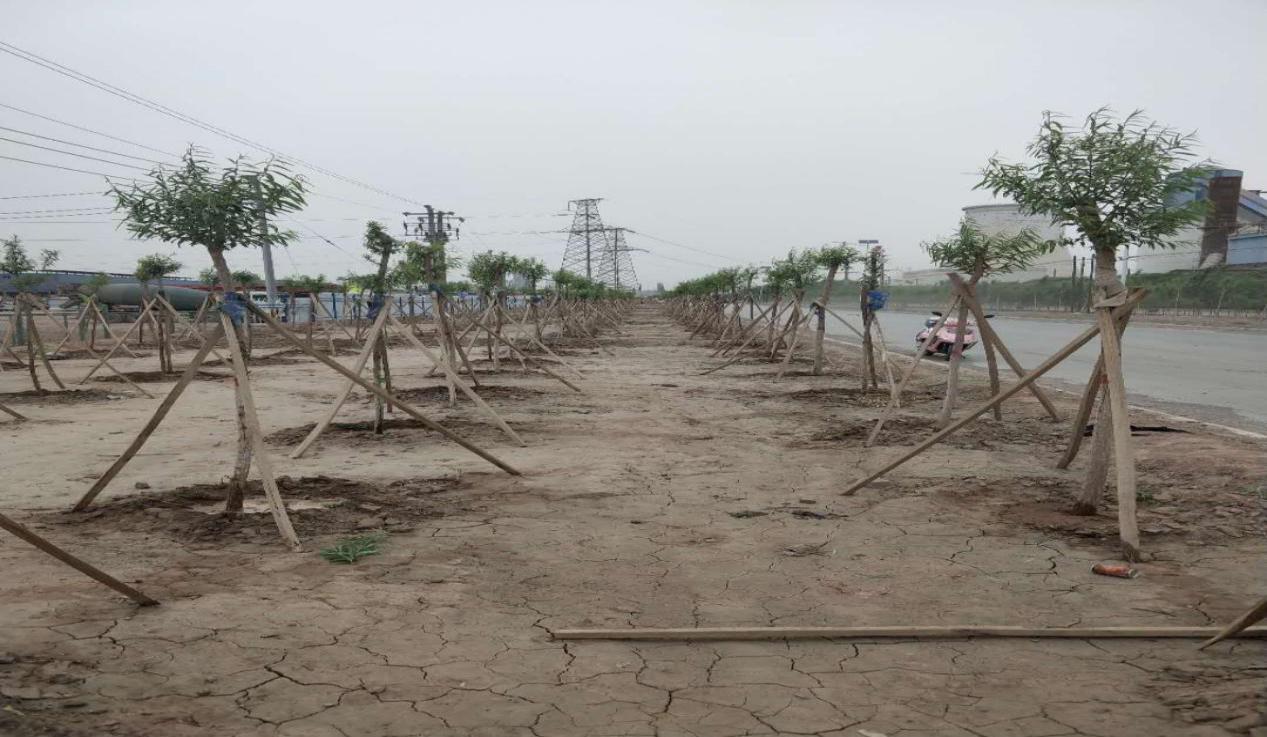 农发行喀什地区分行 助力建设绿化带灌溉系统