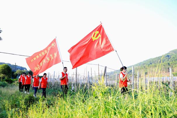 荔浦农商银行：凝聚青春力量 助力乡村振兴