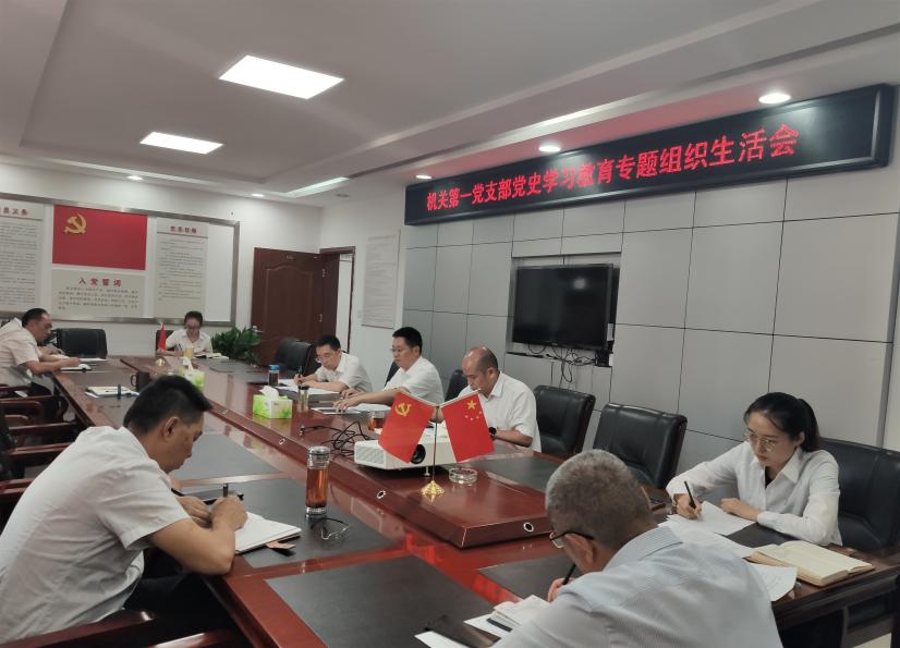 农发行资阳市分行：“三式”工作法开好党史学习教育专题组织生活会