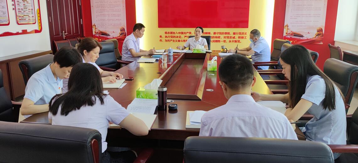 农发行眉山市分行 扎实开好党史学习教育专题组织生活会