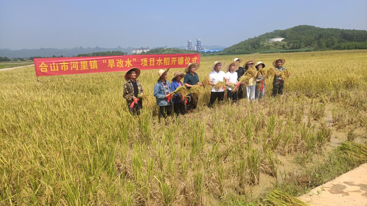 农发行来宾市分行：“旱改水”项目初见成效