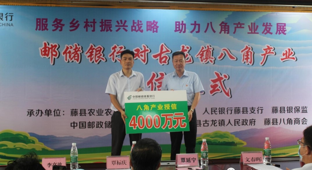 邮储银行梧州市分行：4000万元助力八角产业发展