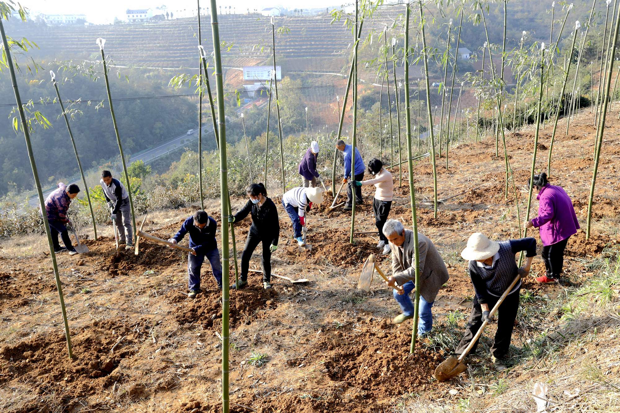 农发行竹山县支行：支持土地规模经营 助力打造秀美“竹”山